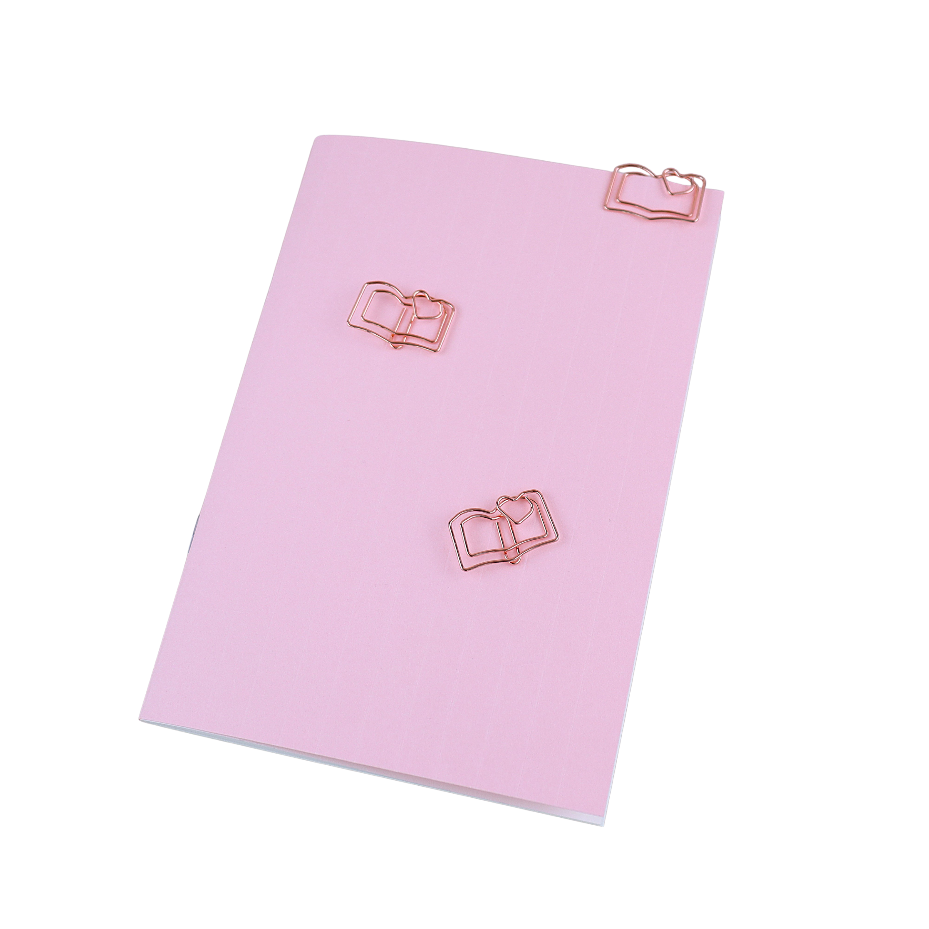 Carnet embossé rose pâle 📒 Wild Zouzou