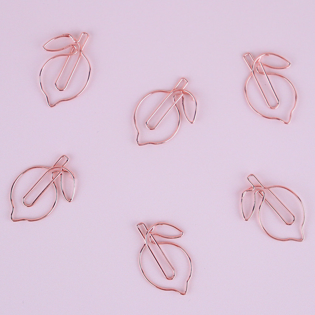Lot de trombones citrons rose gold🍋 Wild Zouzou