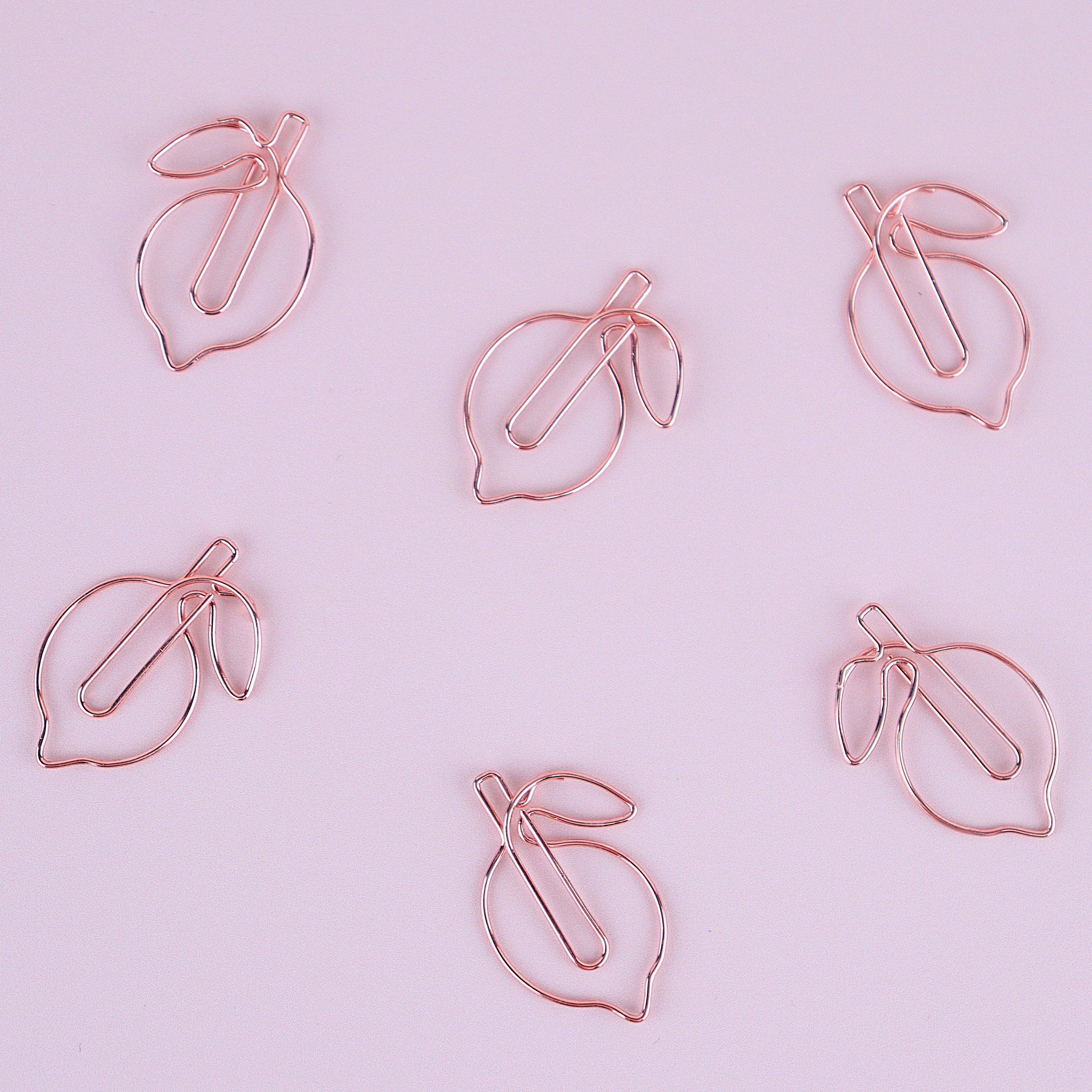 Lot de trombones citrons rose gold🍋 Wild Zouzou