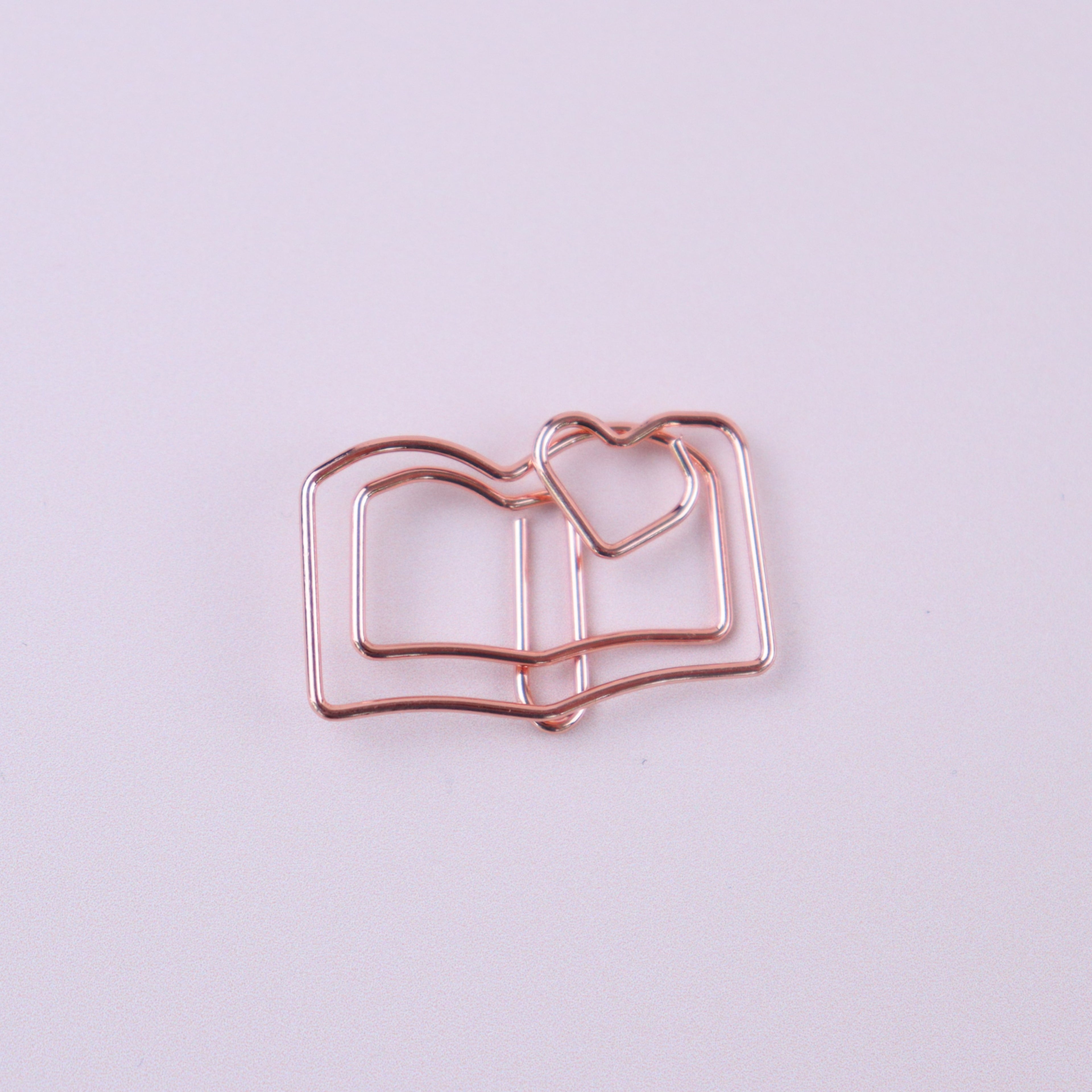 Lot de 10 trombones en forme de livre 📖 Wild Zouzou